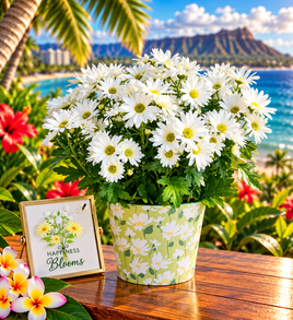 Sunshine Daisy Delight – Fresh Colorful Daisy Flower Arrangement
