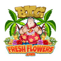 BigFreshFlowers.com